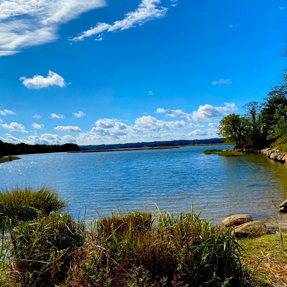 Meet your Posher, Daria